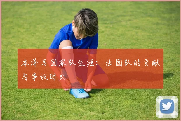 本泽马国家队生涯：法国队的贡献与争议时刻