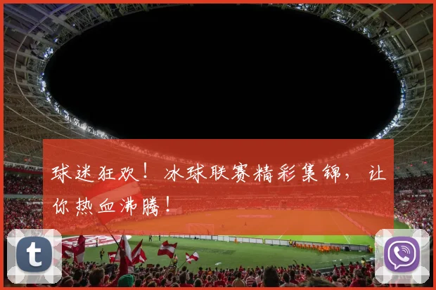 球迷狂欢!冰球联赛精彩集锦,让你热血沸腾!