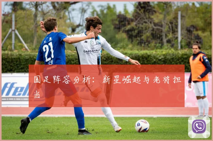 国足阵容分析：新星崛起与老将担当
