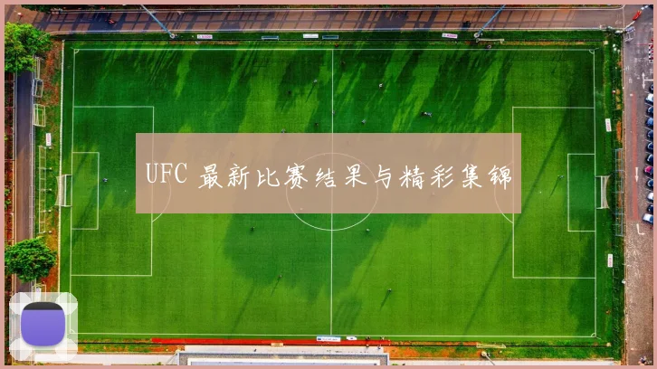 UFC 最新比赛结果与精彩集锦