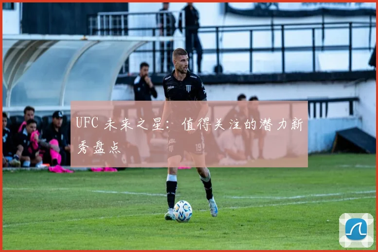UFC 未来之星：值得关注的潜力新秀盘点