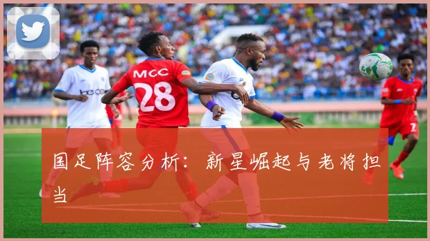 国足阵容分析：新星崛起与老将担当